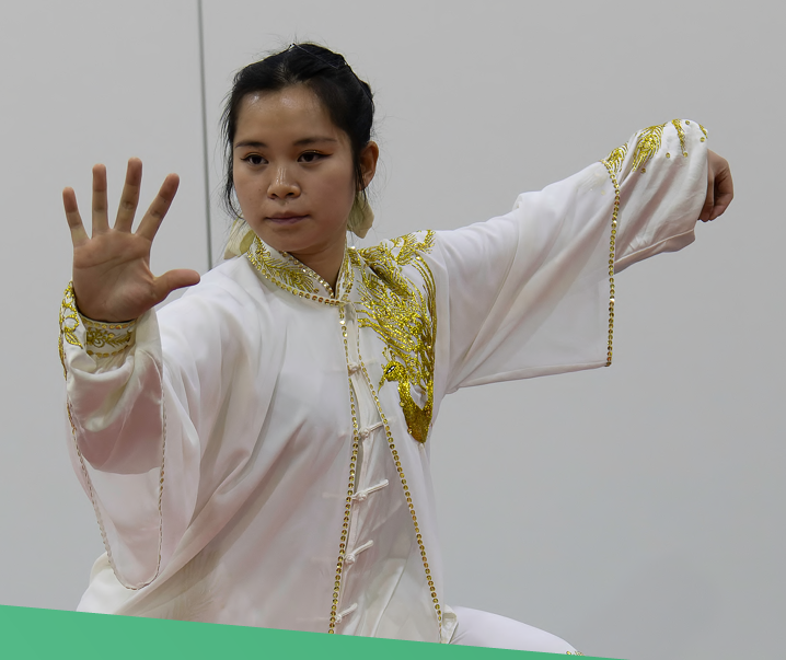 capture d'écran 2025 05 16 153922 taichi