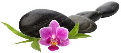 zen galets orchidee mauve 393x173